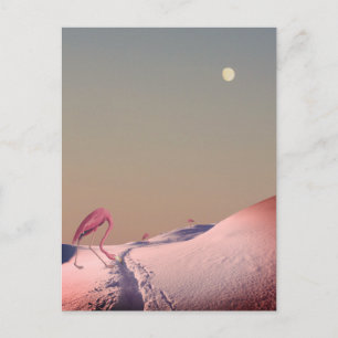 Surreal flamingos i snö vykort