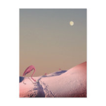 Surreal flamingos i snö