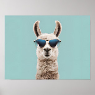 Surreal lama med solglasögon på pastellbakgrund poster