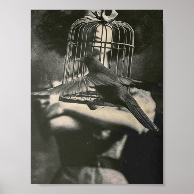 Surreal svart-vit burfågel och damen poster (Framsidan)