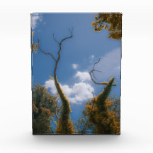 Surrealistisk natur