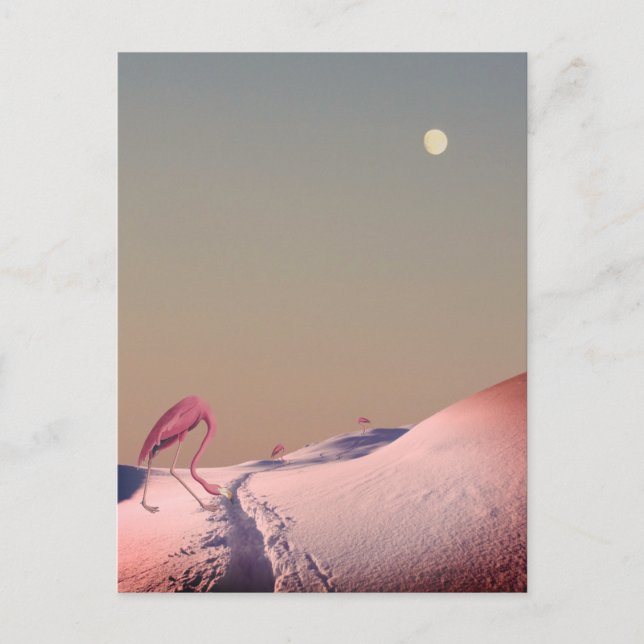 Surrealistiska flamingos i snö vykort (Framsida)
