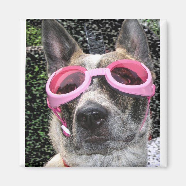 Surrey Magnet (Framsidan)