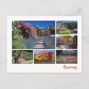 Surrey Vykort