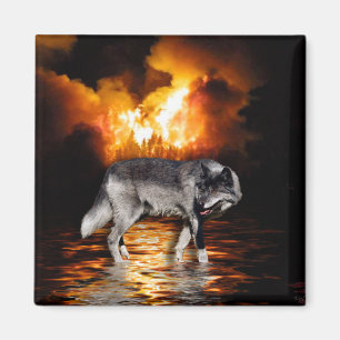 "Survivor", Grått-Varg-gåvor Magnet