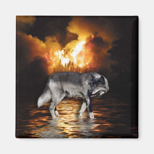 ’Survivor’ Grått Varg Magnet (Framsidan)