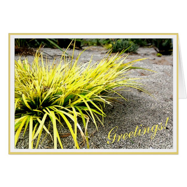 Survivor Gult Desert Plant anpassade Ram Hälsningskort (Framsidan Horizontal)