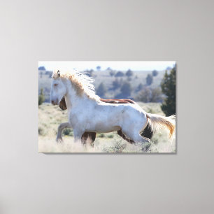 Survivor Wrapped Canvas