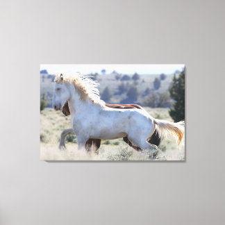 Survivor Wrapped Canvas