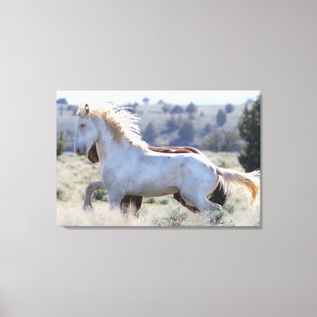 Survivor Wrapped Canvas (Framsida)