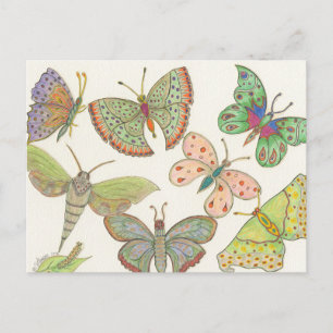 Survivors Hub Series #4 Butterflies Vykort