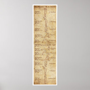 Suryanamaskara - Sol Salutation - Porträtt Poster