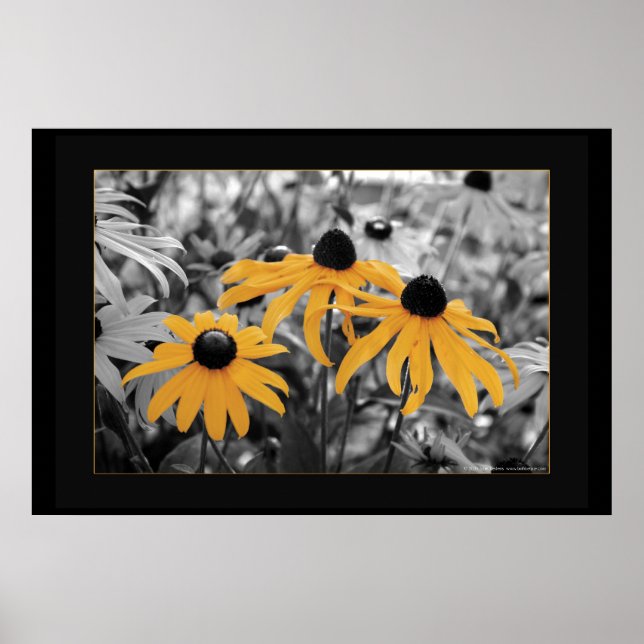 Susan Three Poster (Framsidan)