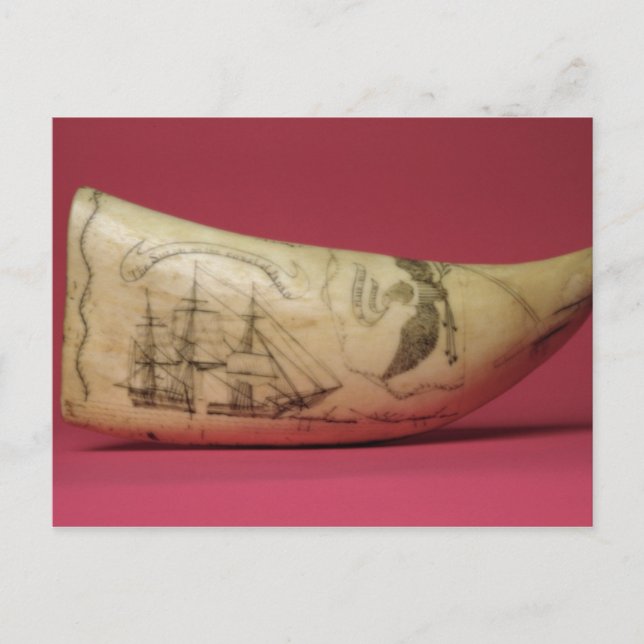 Susan vid kusten i Japans Scrimshaw Vykort (Framsida)