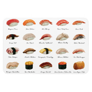 Sushi-diagram Magnet