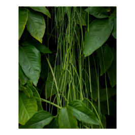 Suspended Nature Perfect Poster