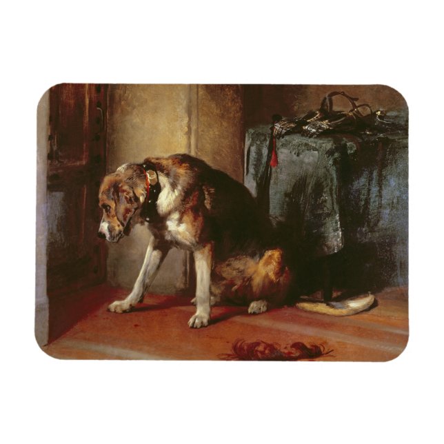 Suspense Magnet (Horisontell)