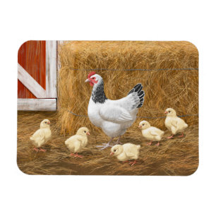 Sussex Chicken Mamma Hen och Chickar Magnet