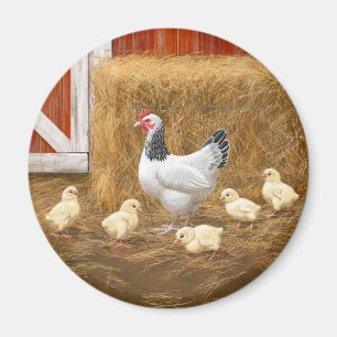 Sussex Chicken Mamma Hen och Chickar Magnet