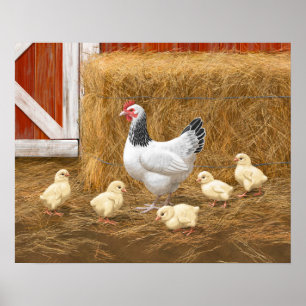 Sussex Chicken Mamma Hen och Chickar Poster