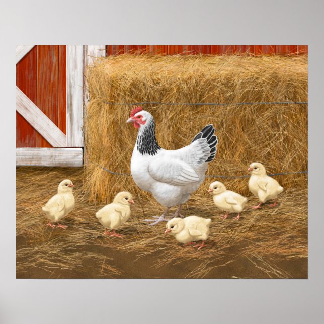 Sussex Chicken Mamma Hen och Chickar Poster (Framsidan)