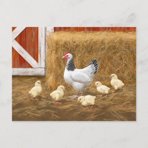 Sussex Chicken Mamma Hen och Chickar Vykort