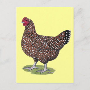 Sussex: Speckled Hen Vykort