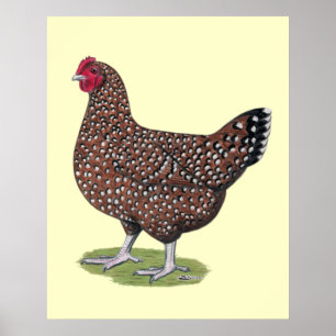 Sussex: Spräcklig höna Poster