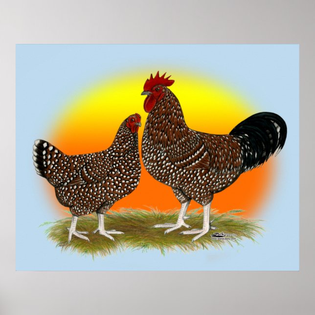 Sussex Sunrise Poster (Framsidan)