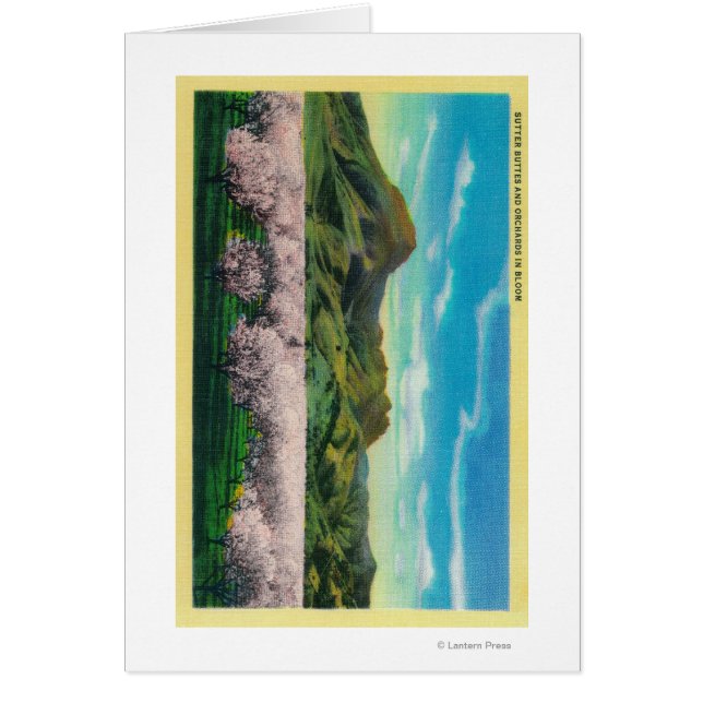 Sutter Butet and Orchards i Bloom Hälsningskort (Framsidan)