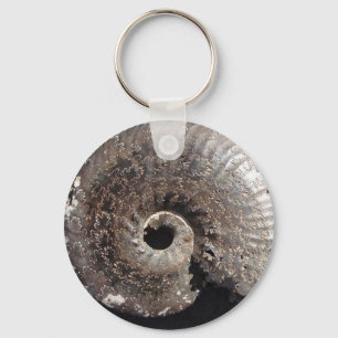 Suturer för visning för härlig pyritammonite nyckelring