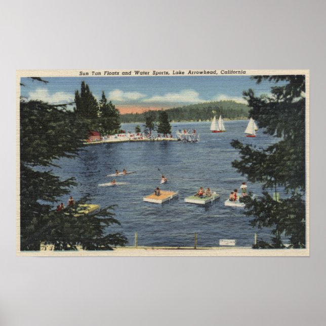 Suveräna Flyter och sportar Poster (Framsidan)