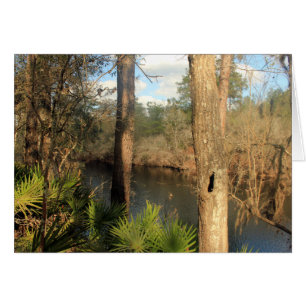 Suwanee River, Big Shoals State Park, Florida Hälsningskort