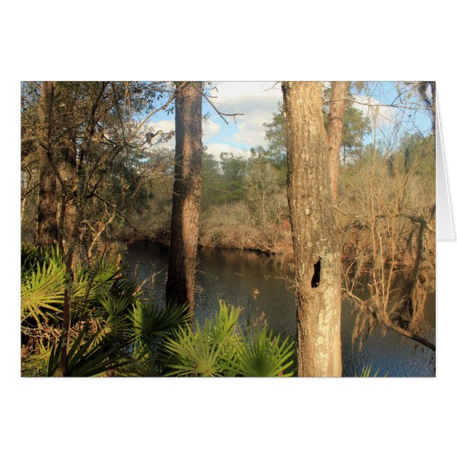 Suwanee River, Big Shoals State Park, Florida Hälsningskort (Framsidan Horizontal)