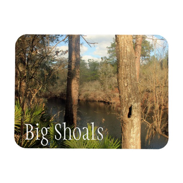 Suwanee River, Big Shoals State Park, Florida Magnet (Horisontell)