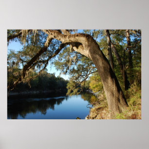 Suwannee flodaffisch poster