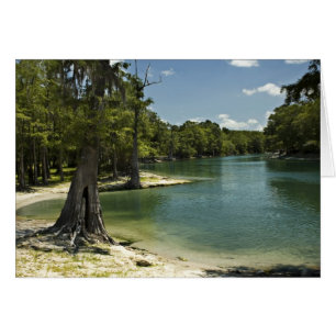 Suwannee River Beach Blank Card Hälsningskort