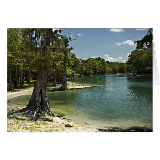 Suwannee River Beach Blank Card Hälsningskort (Framsidan Horizontal)