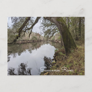 Suwannee River Postcard Vykort