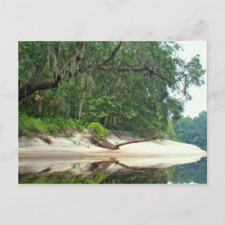Suwannee River sandbar Vykort