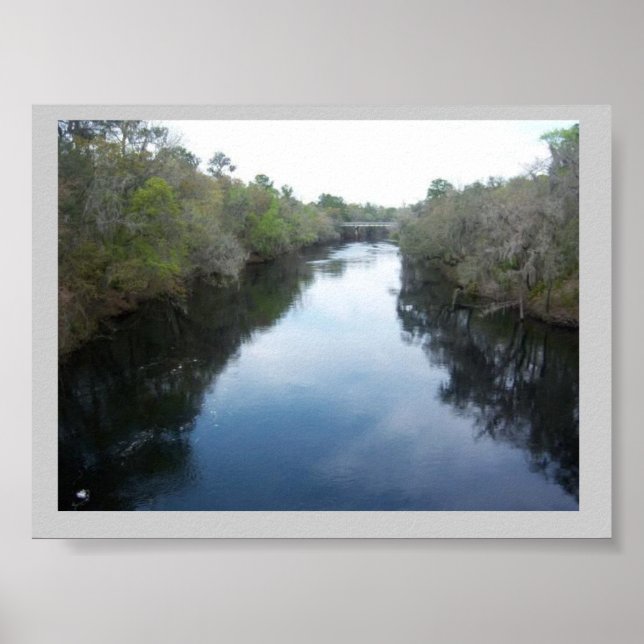 Suwannee River View Florida Poster (Framsidan)