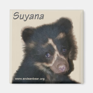 Suyana magnet