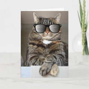 SVAL KATT GRATTIS PÅ FÖDELSEDAGEN SOLGALLERIER GRA KORT