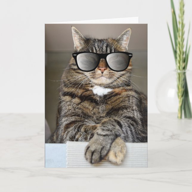 SVAL KATT GRATTIS PÅ FÖDELSEDAGEN SOLGALLERIER GRA KORT (Framsida)