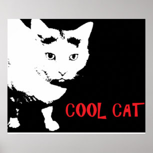 SVAL KATT POSTER