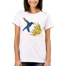 Svala-tailed Hummingbird