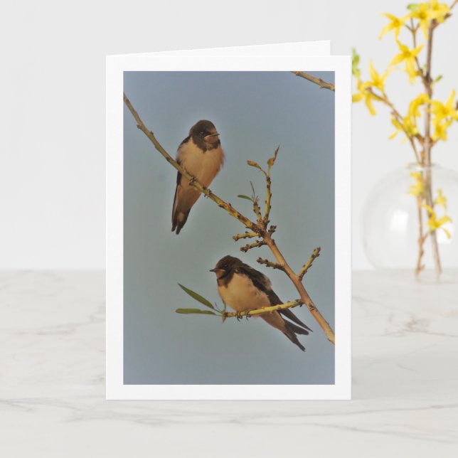 Svalar i vintageporträtt kort (Gul blomma)