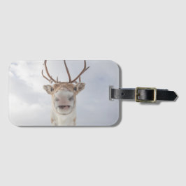 Svalbard Reindeer Nature Photo Bagagebricka