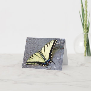 Svälj Butterfly med Irish Quote Note Card Kort