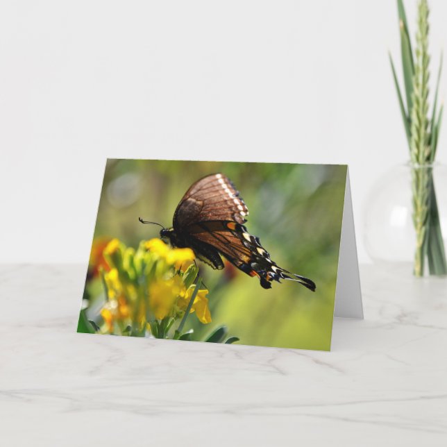 Svälj Butterfly på Wildblomstanteckningskort Kort (Framsida)